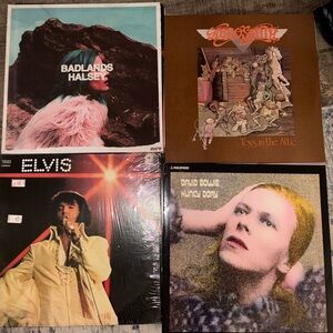 Vinyl Record Collection - Halsey, Aerosmith, Elvis, David Bowie